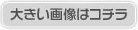 傫摜̓R`