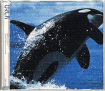 SSGC-0001